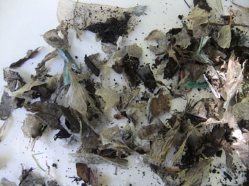 Would you like some plastic with your food order?