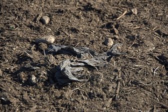 What is plastic doing in compost?