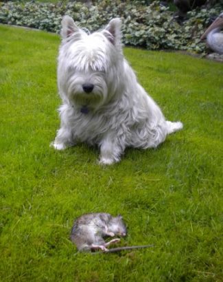 What on earth is THAT doing here?